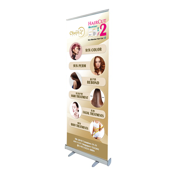 Bunting Banner + Roll-up Stand (YUPO Paper) 80cm(W) x 200cm(H) - Image 2